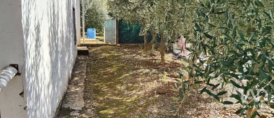 Terreno rústico em Pedrógão Pequeno de 3 920 m²