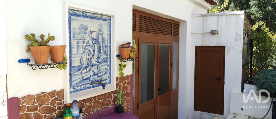 Terreno rústico em Pedrógão Pequeno de 3 920 m²