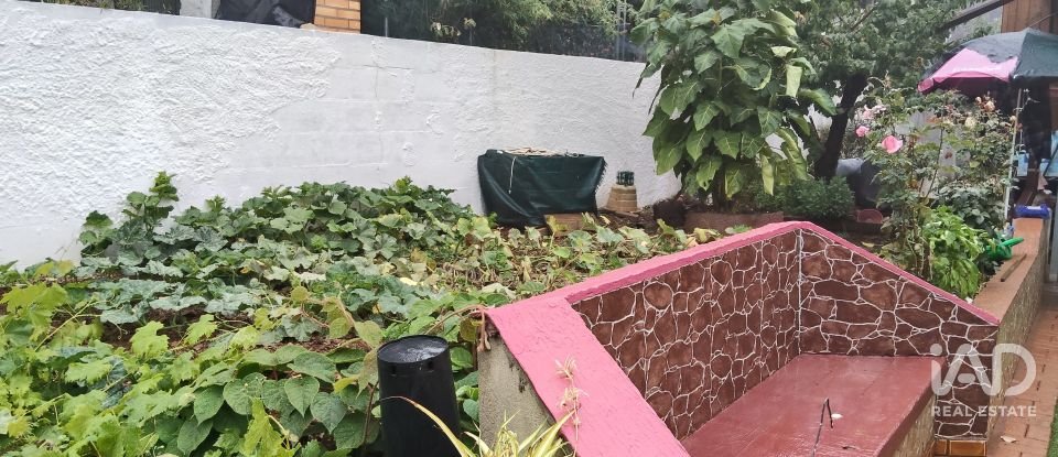 Terreno rústico em Pedrógão Pequeno de 3 920 m²