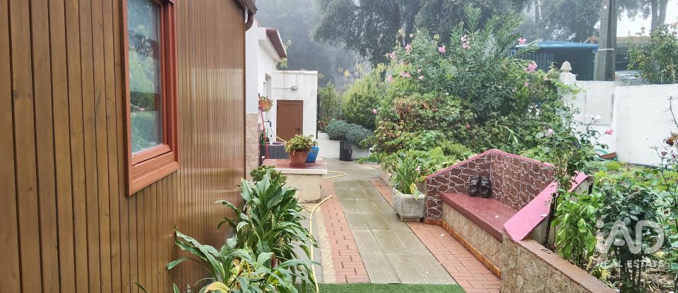 Terreno rústico em Pedrógão Pequeno de 3 920 m²