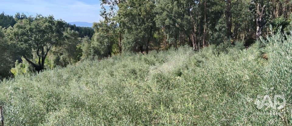 Terreno rústico em Pedrógão Pequeno de 3 920 m²