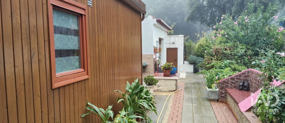 Terreno rústico em Pedrógão Pequeno de 3 920 m²