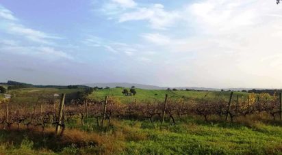 Terrain à Carvalhal de