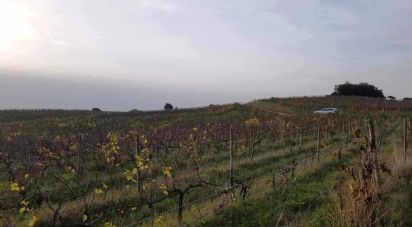 Terrain à Carvalhal de