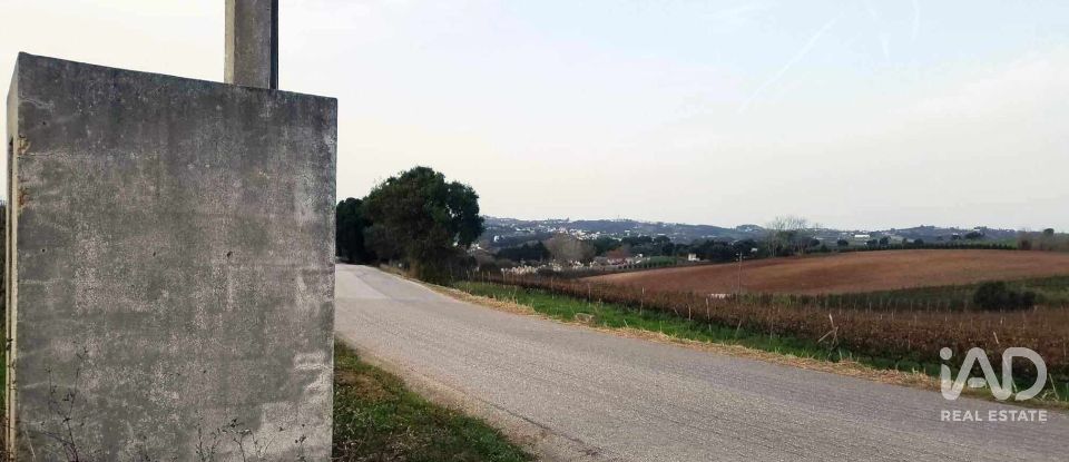 Terreno em Carvalhal de