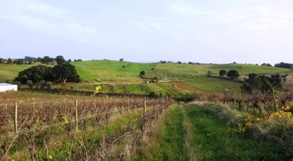 Terrain à Carvalhal de
