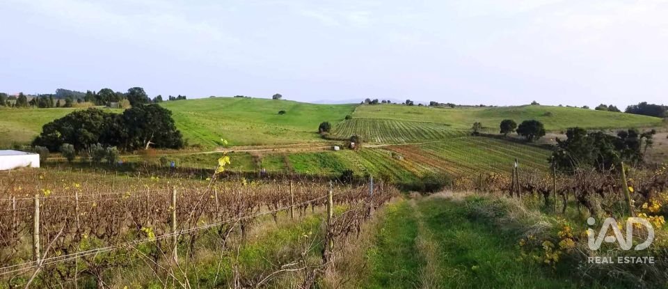 Terreno em Carvalhal de