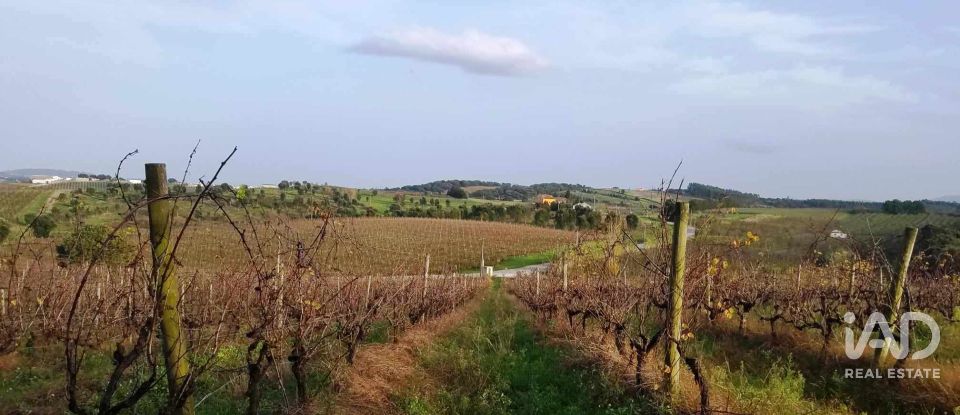 Terreno em Carvalhal de