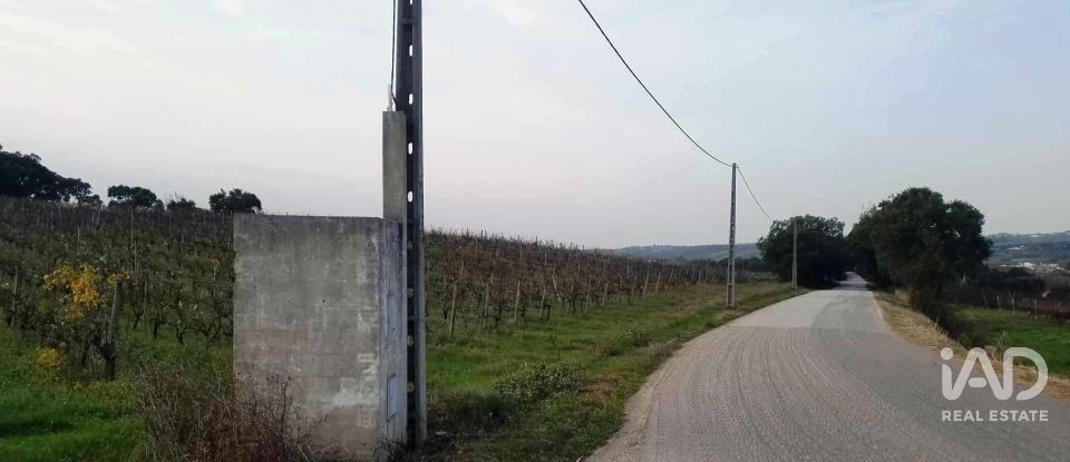 Terreno em Carvalhal de