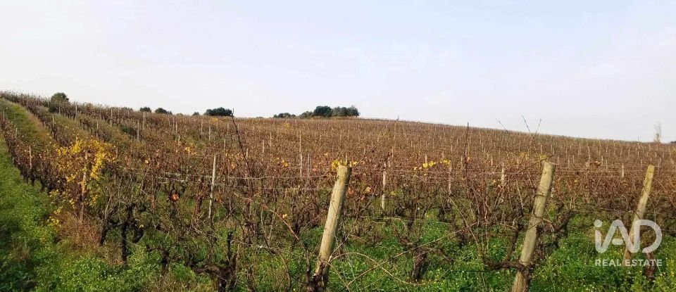 Terreno em Carvalhal de