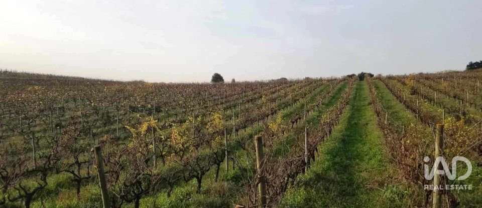 Terreno em Carvalhal de