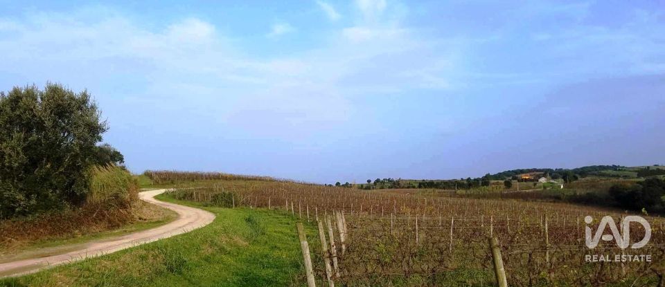 Terreno em Carvalhal de