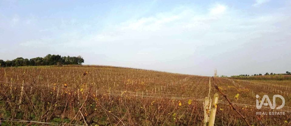 Terreno em Carvalhal de