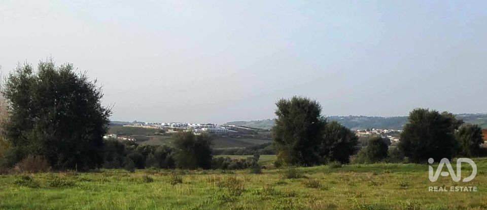 Terreno em Carvalhal de