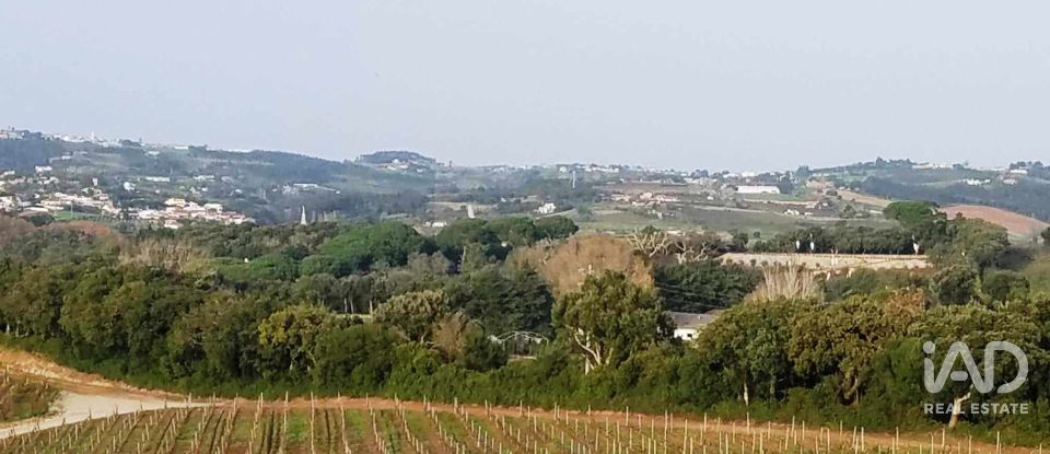 Terreno em Carvalhal de