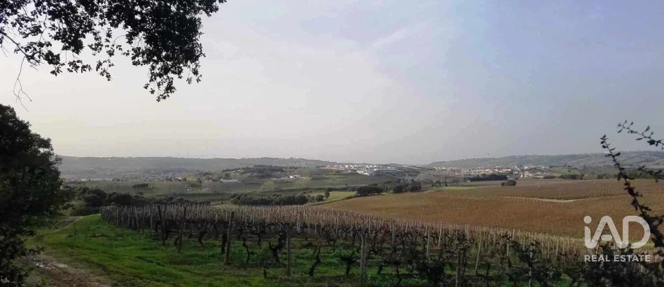 Terreno em Carvalhal de