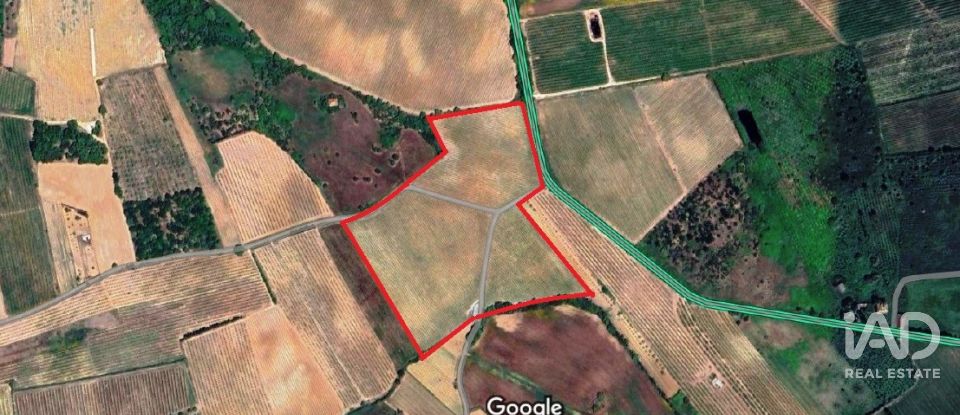 Terreno em Carvalhal de