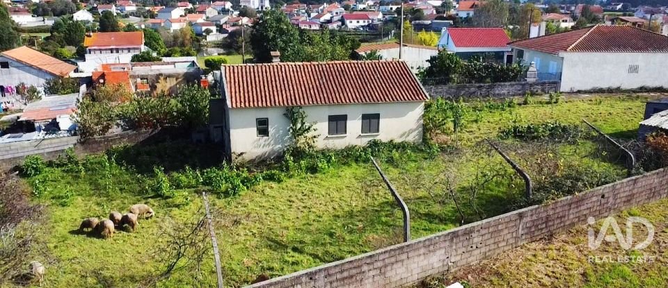 Moradia T2 em Alvarães de 60 m²