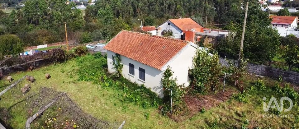 Moradia T2 em Alvarães de 60 m²