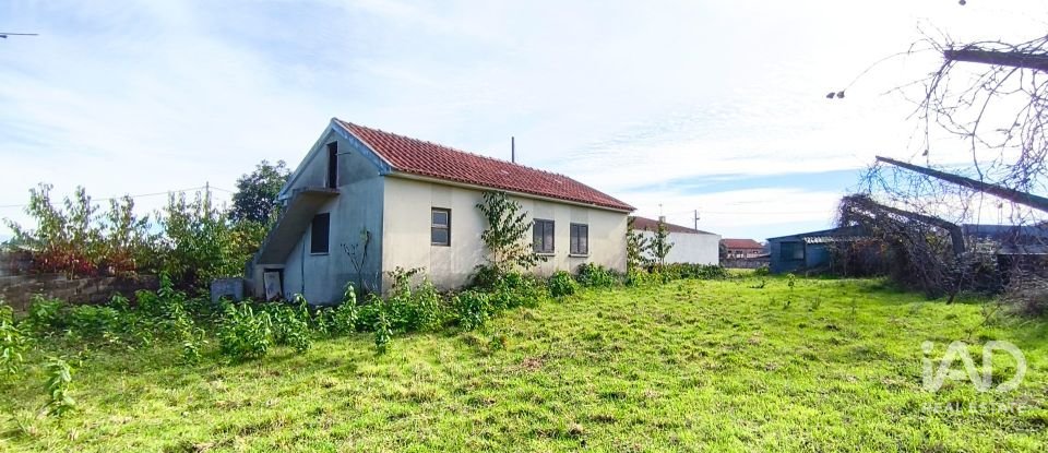 Moradia T2 em Alvarães de 60 m²