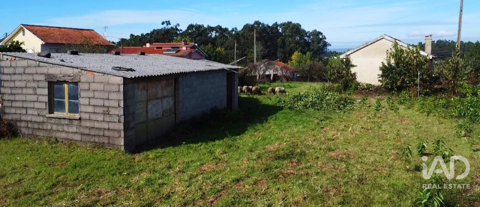 Moradia T2 em Alvarães de 60 m²