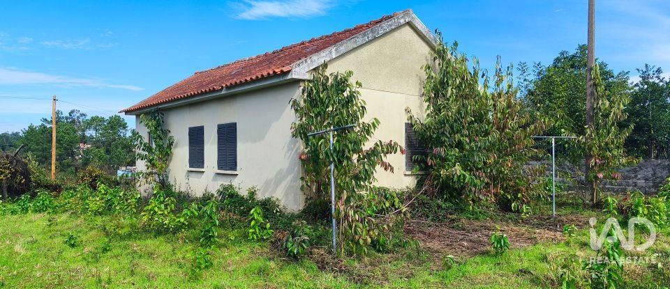 Moradia T2 em Alvarães de 60 m²