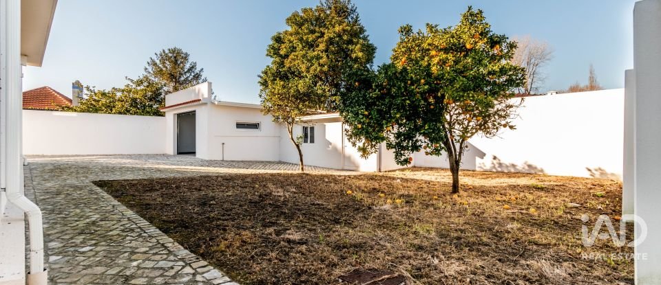 Moradia T4 em Marinha Grande de 220 m²