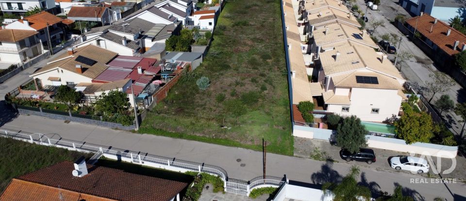 Terreno em Santa joana de 2 990 m²
