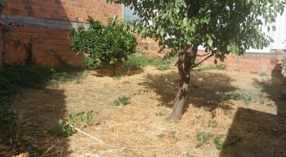 Maison de plain-pied T2 à Paul de 100 m²