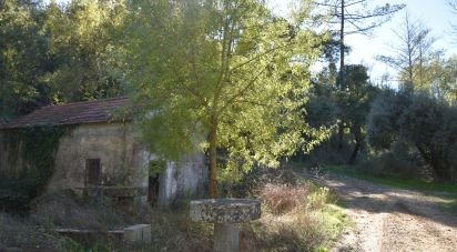 Maison rustique T1 à Urqueira de 31 m²