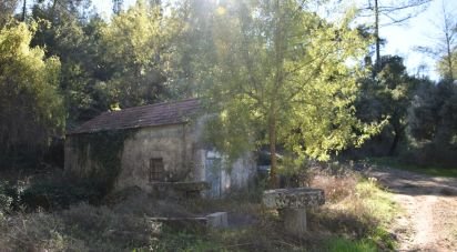 Maison rustique T1 à Urqueira de 31 m²