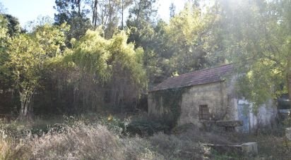 Maison rustique T1 à Urqueira de 31 m²