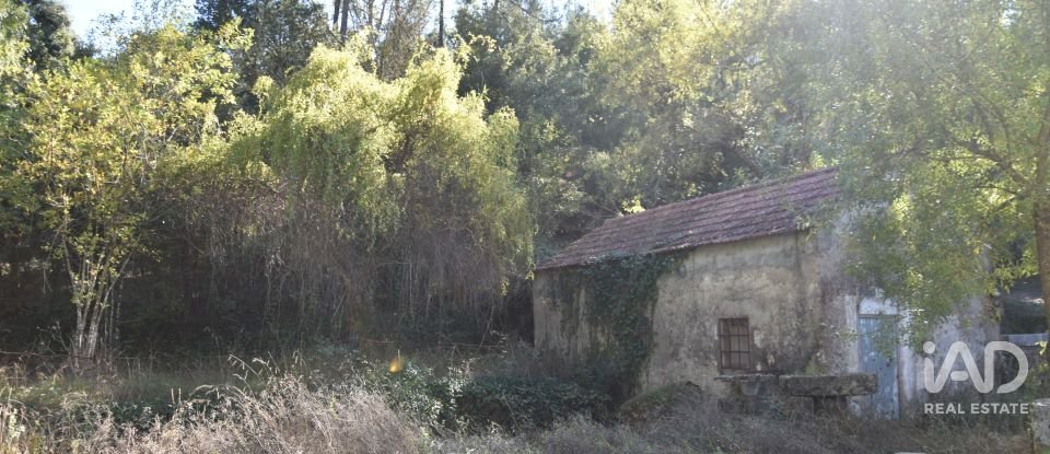 Casa de Campo T1 em Urqueira de 31 m²