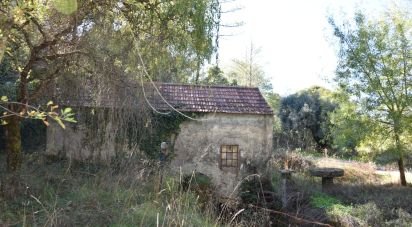 Maison rustique T1 à Urqueira de 31 m²