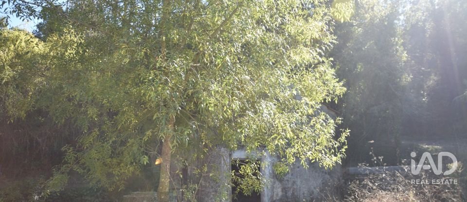 Casa de Campo T1 em Urqueira de 31 m²