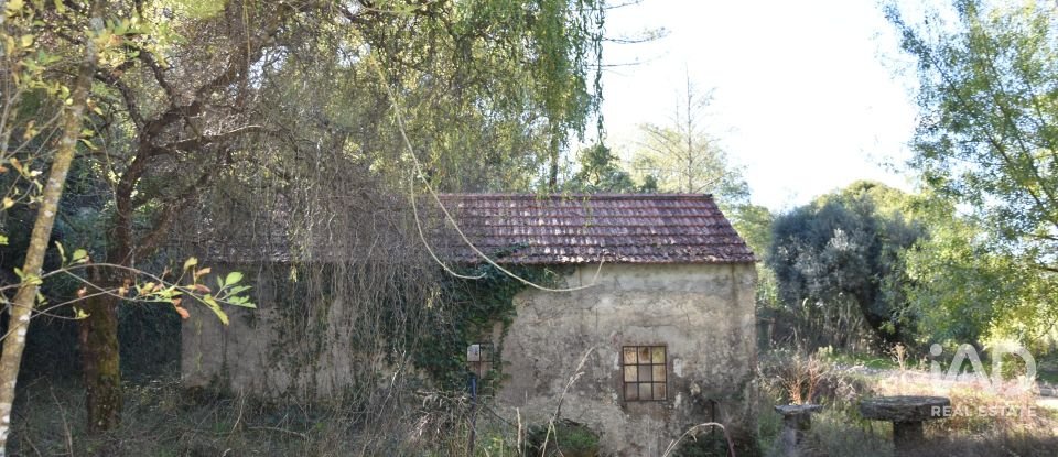 Casa de Campo T1 em Urqueira de 31 m²