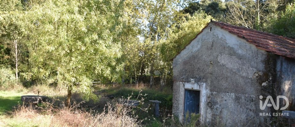 Casa de Campo T1 em Urqueira de 31 m²