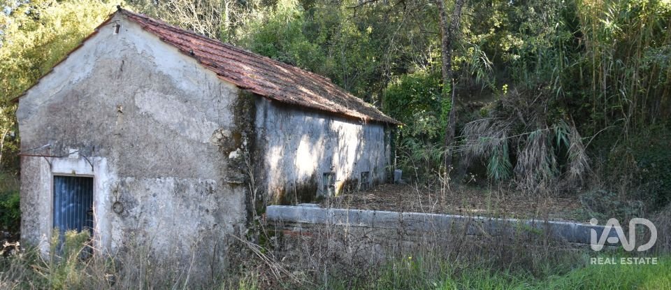 Casa de Campo T1 em Urqueira de 31 m²