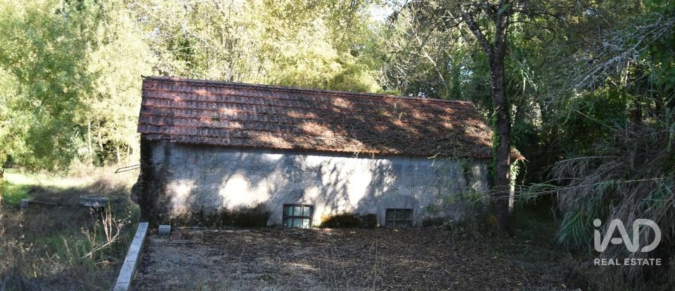 Casa de Campo T1 em Urqueira de 31 m²