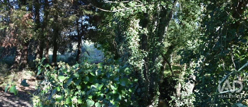 Casa de Campo T1 em Urqueira de 31 m²