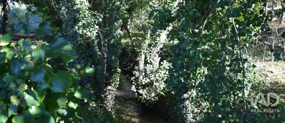 Casa de Campo T1 em Urqueira de 31 m²