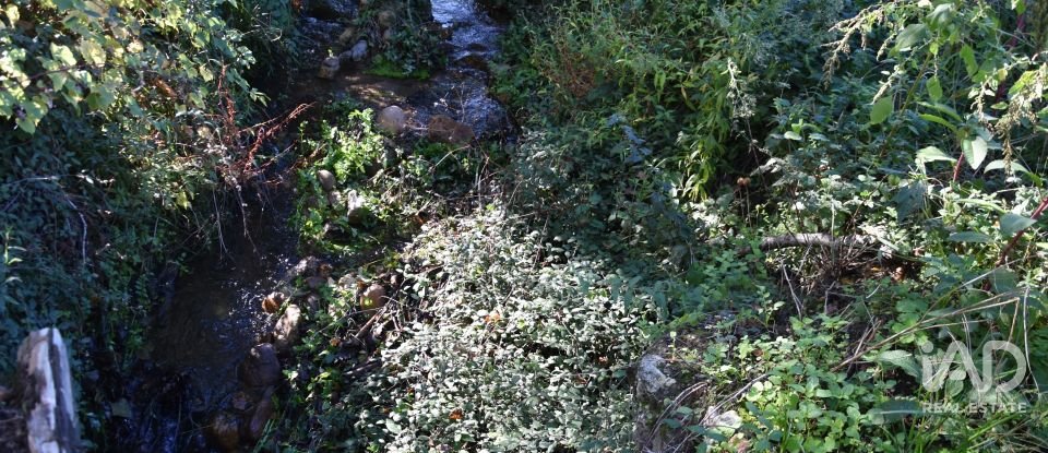 Casa de Campo T1 em Urqueira de 31 m²