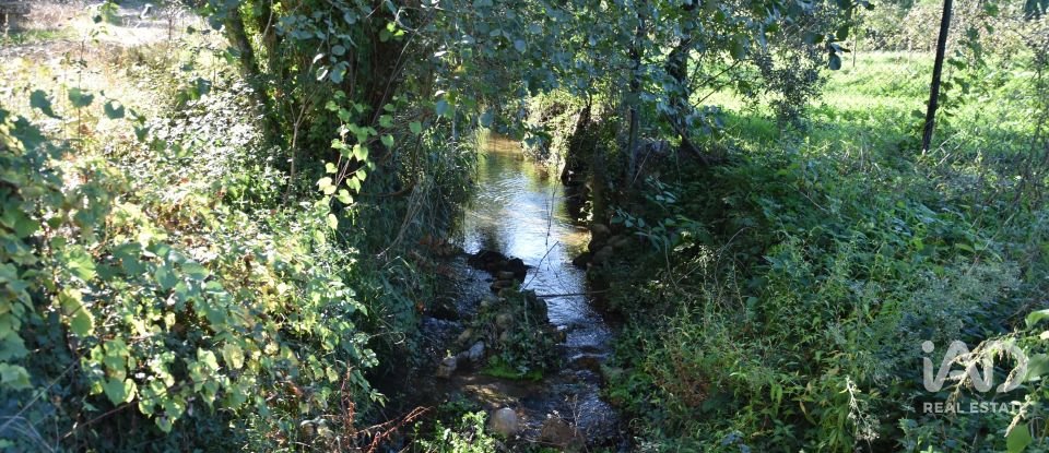 Casa de Campo T1 em Urqueira de 31 m²