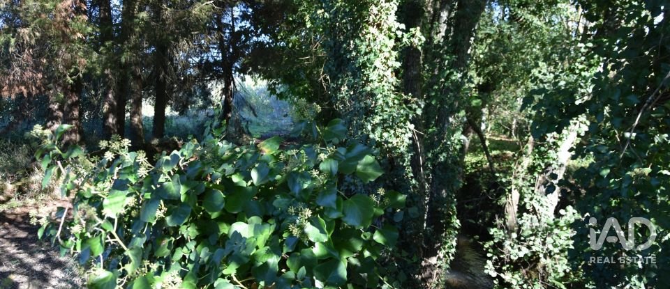 Casa de Campo T1 em Urqueira de 31 m²