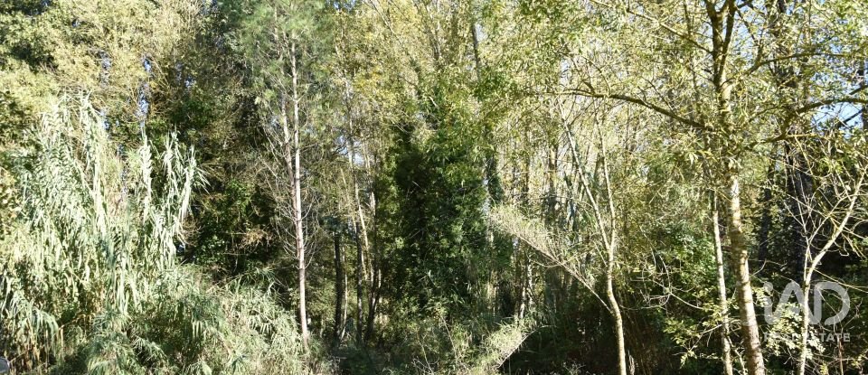 Casa de Campo T1 em Urqueira de 31 m²