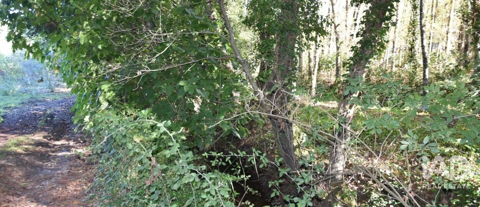 Casa de Campo T1 em Urqueira de 31 m²