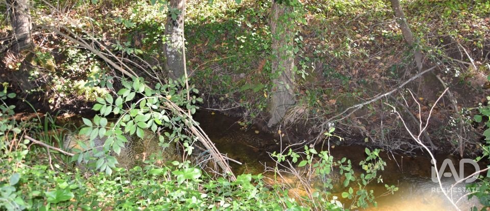 Casa de Campo T1 em Urqueira de 31 m²