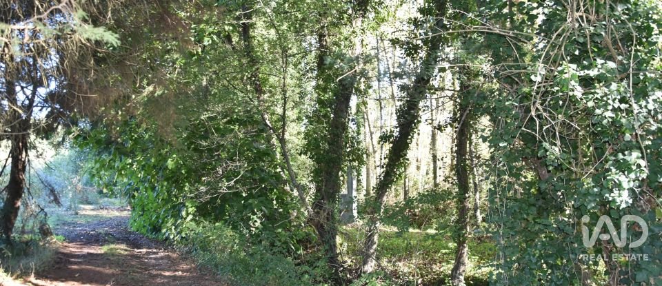 Casa de Campo T1 em Urqueira de 31 m²