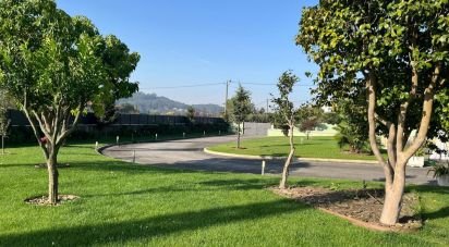 Maison T4 à Lemenhe, Mouquim e Jesufrei de 300 m²