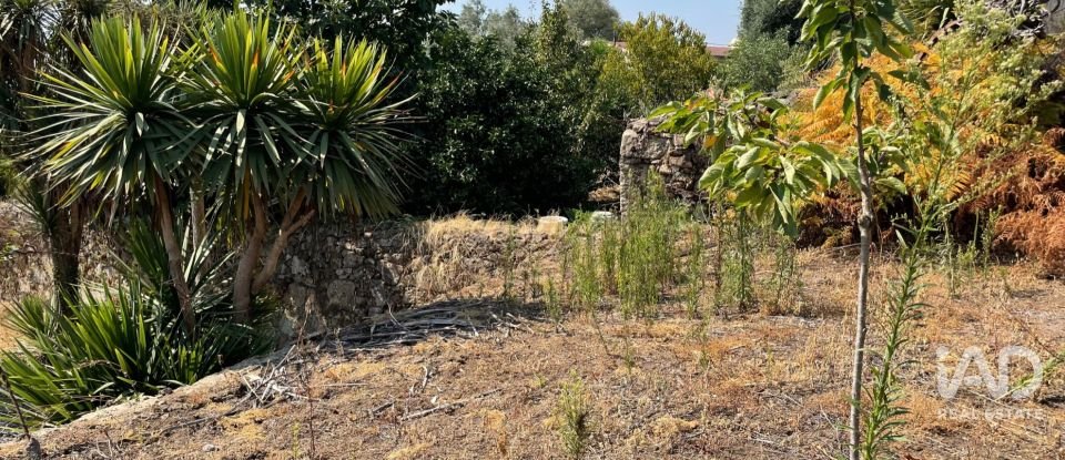 Quinta T4 em Esqueiros, Nevogilde e Travassós de 656 m²